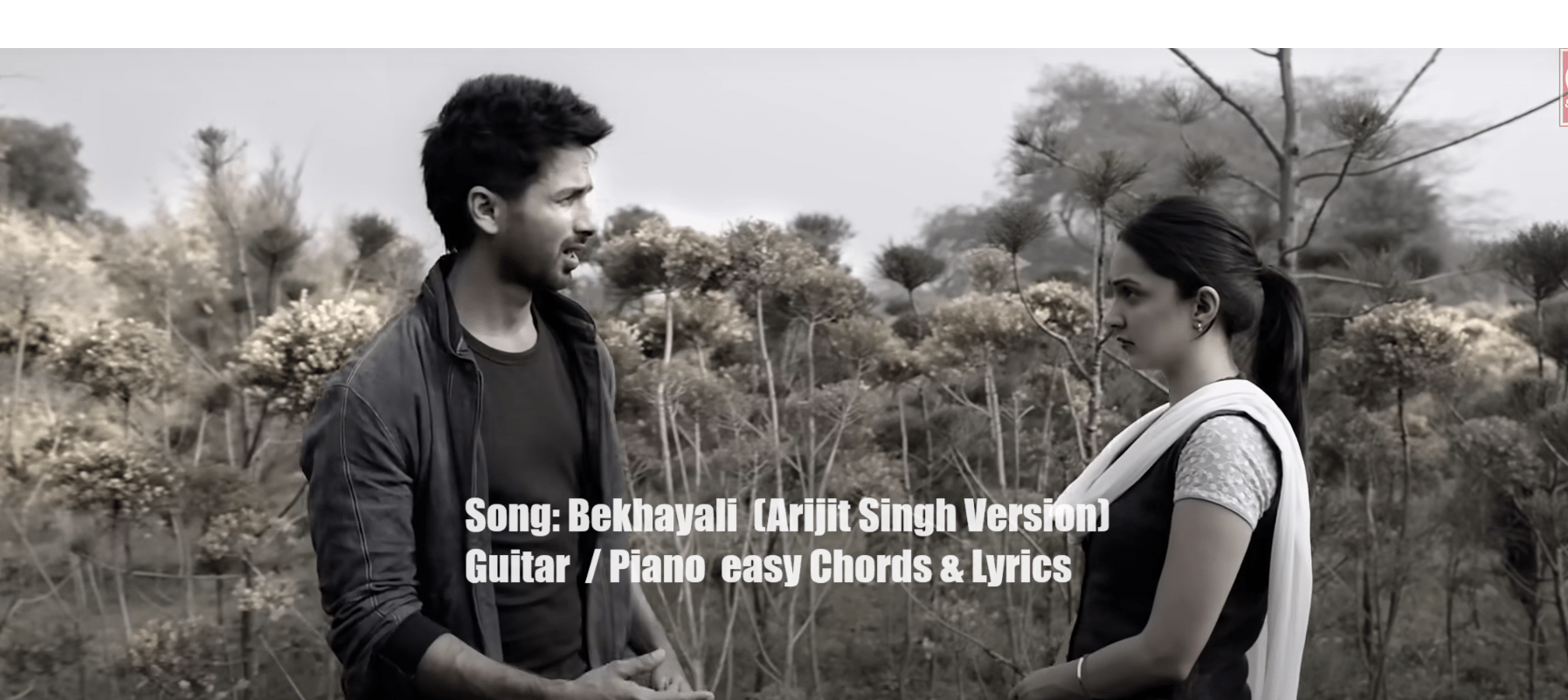 You are currently viewing Bekhayali Chords